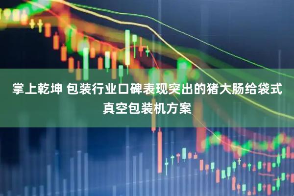 掌上乾坤 包装行业口碑表现突出的猪大肠给袋式真空包装机方案