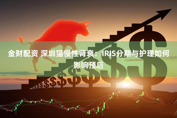 金财配资 深圳猫慢性肾衰：IRIS分期与护理如何影响预后
