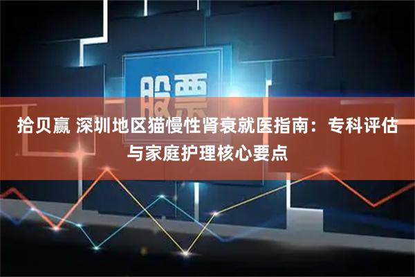 拾贝赢 深圳地区猫慢性肾衰就医指南：专科评估与家庭护理核心要点