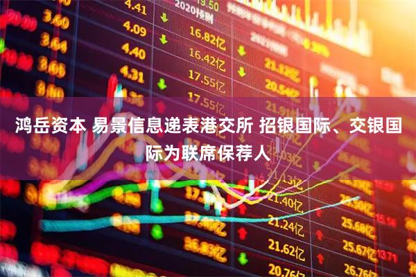 鸿岳资本 易景信息递表港交所 招银国际、交银国际为联席保荐人