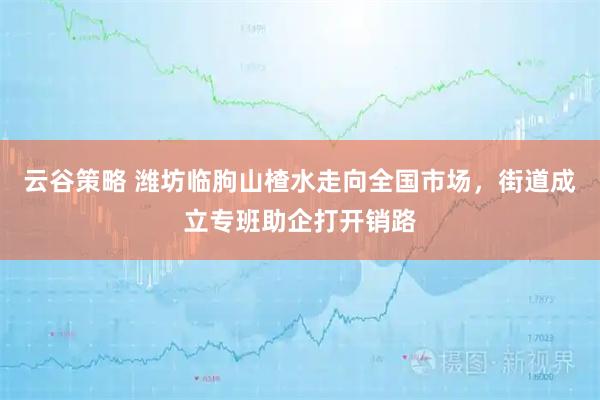 云谷策略 潍坊临朐山楂水走向全国市场，街道成立专班助企打开销路