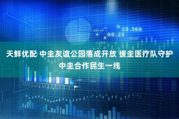 天鲜优配 中圭友谊公园落成开放 援圭医疗队守护中圭合作民生一线