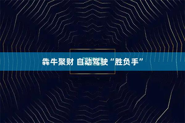 犇牛聚财 自动驾驶“胜负手”