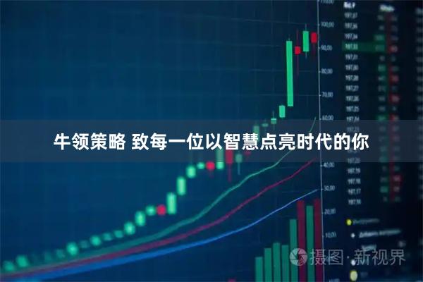 牛领策略 致每一位以智慧点亮时代的你