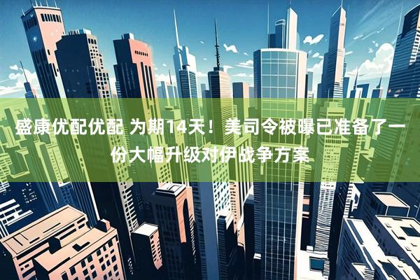 盛康优配优配 为期14天！美司令被曝已准备了一份大幅升级对伊战争方案