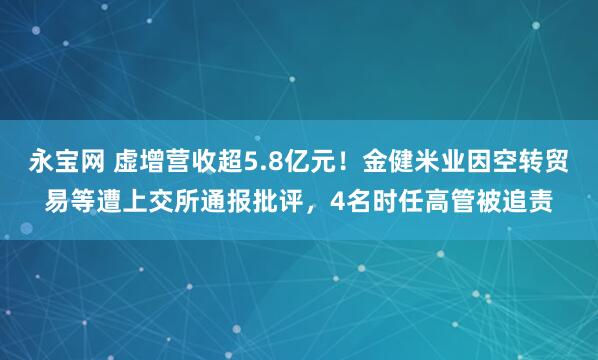 永宝网 虚增营收超5.8亿元！金健米业因空转贸易等遭上交所通报批评，4名时任高管被追责