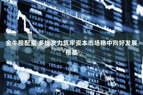 金牛股配资 多维发力筑牢资本市场稳中向好发展根基