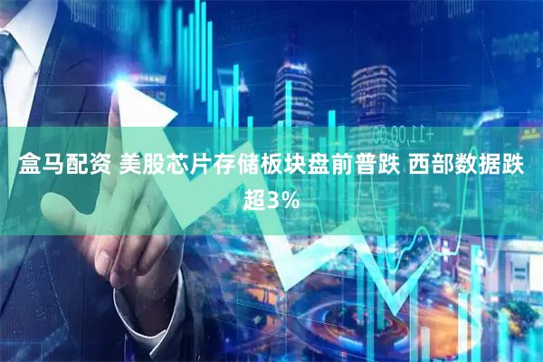 盒马配资 美股芯片存储板块盘前普跌 西部数据跌超3%