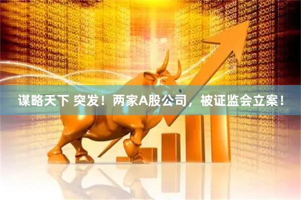 谋略天下 突发！两家A股公司，被证监会立案！