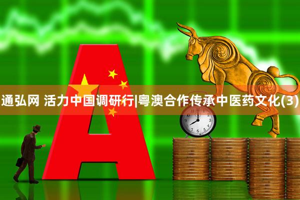 通弘网 活力中国调研行|粤澳合作传承中医药文化(3)
