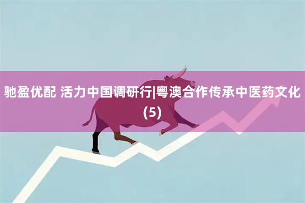 驰盈优配 活力中国调研行|粤澳合作传承中医药文化(5)
