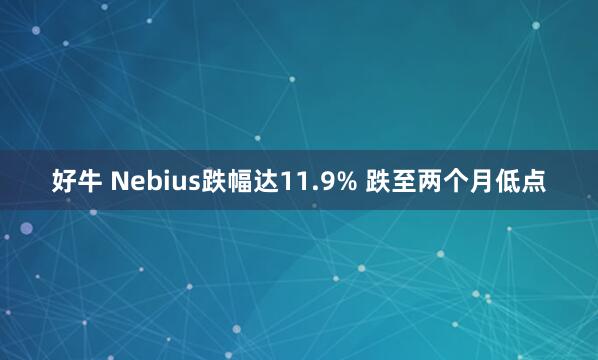 好牛 Nebius跌幅达11.9% 跌至两个月低点