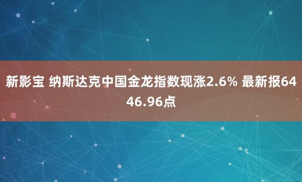 新影宝 纳斯达克中国金龙指数现涨2.6% 最新报6446.96点