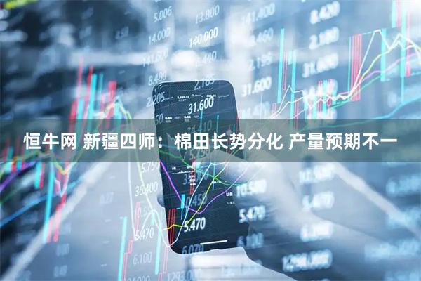 恒牛网 新疆四师：棉田长势分化 产量预期不一