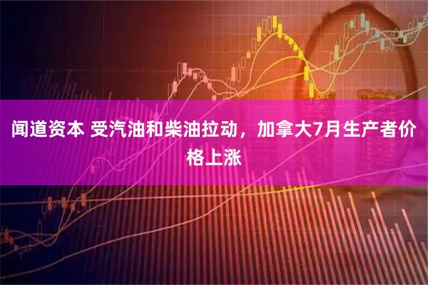 闻道资本 受汽油和柴油拉动，加拿大7月生产者价格上涨